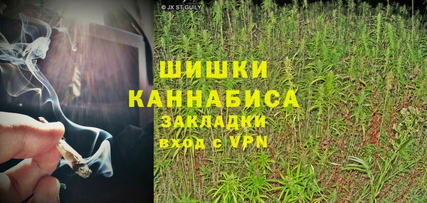 гашик Болохово