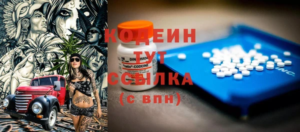индика Болотное