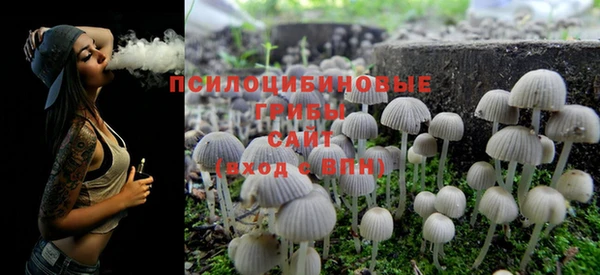 винт Белокуриха